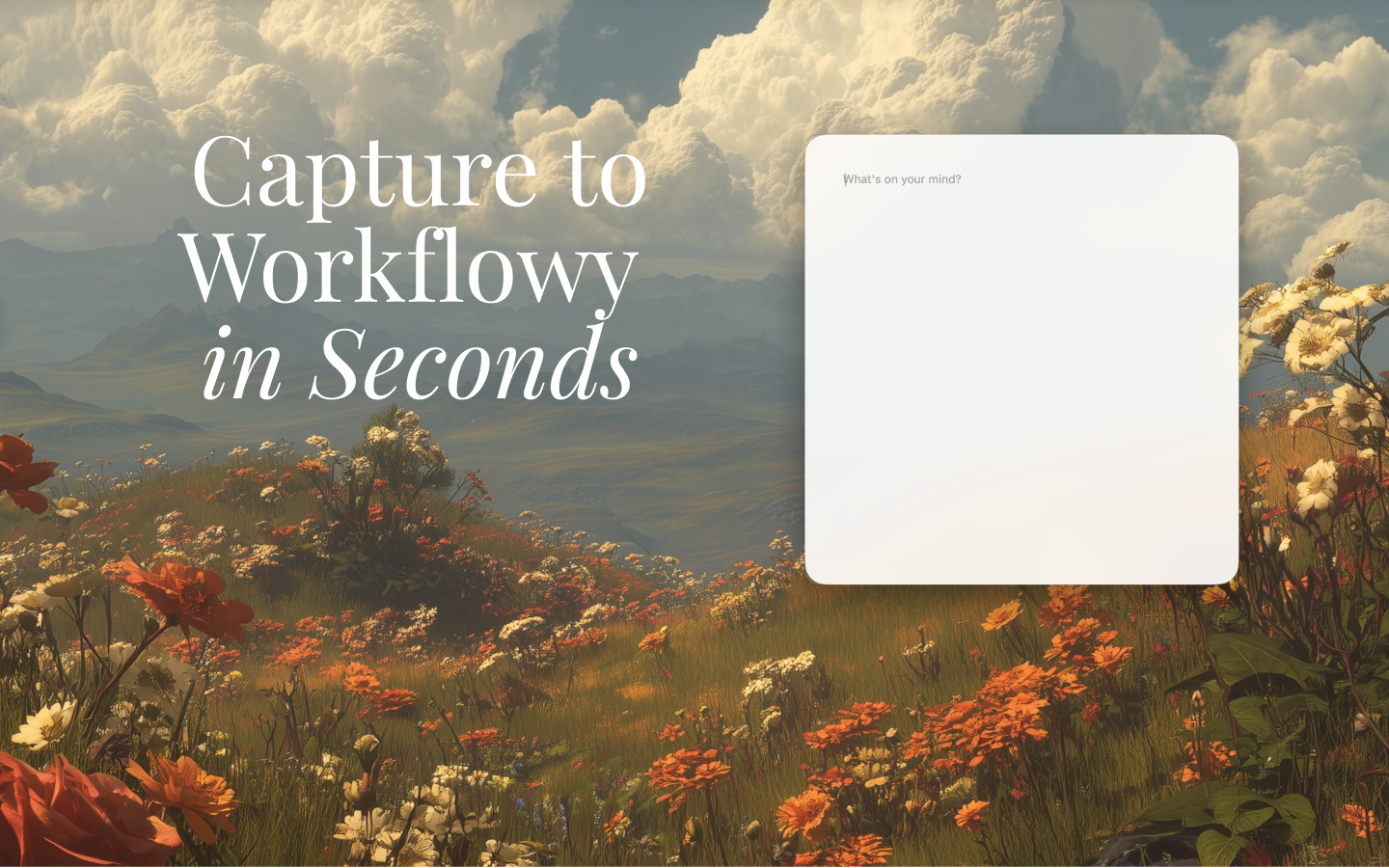 Dotly macOS menu bar capture window